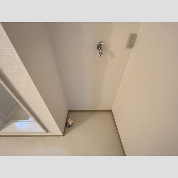 その他 (室内洗濯機置場)