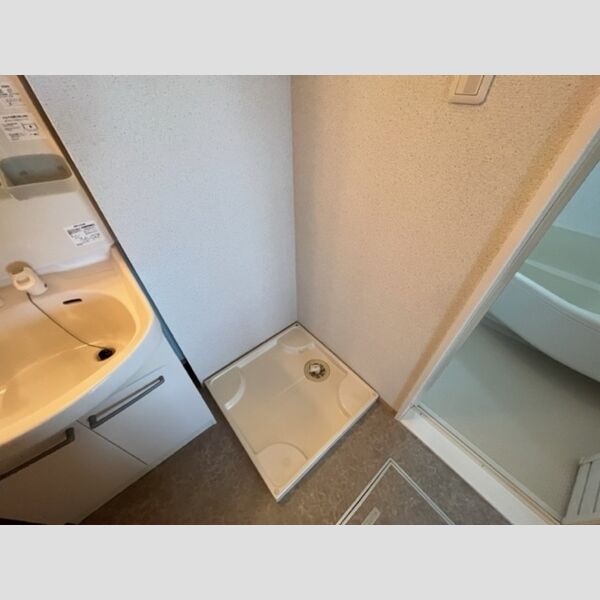 その他 (室内洗濯機置場)