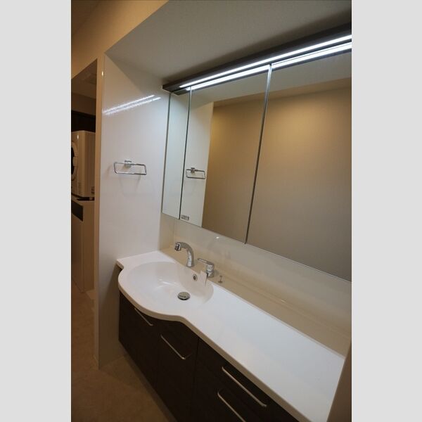 洗面所 (洗髪洗面化粧台)