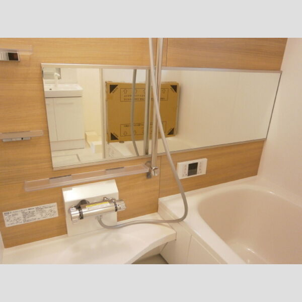 その他 (浴室　横長ミラー)