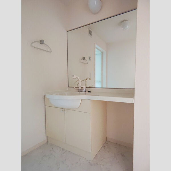 洗面所 (洗髪洗面化粧台)