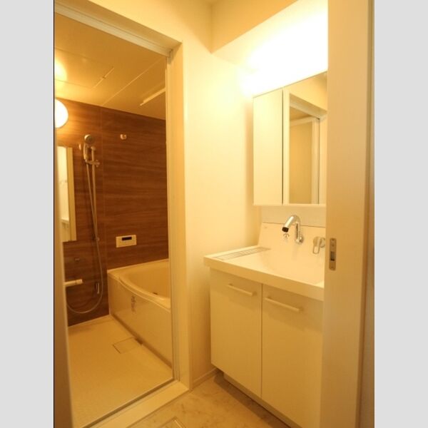 洗面所 (洗髪洗面化粧台)