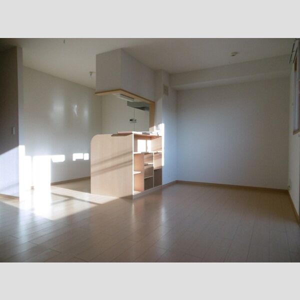 居室・リビング (12帖LDK)