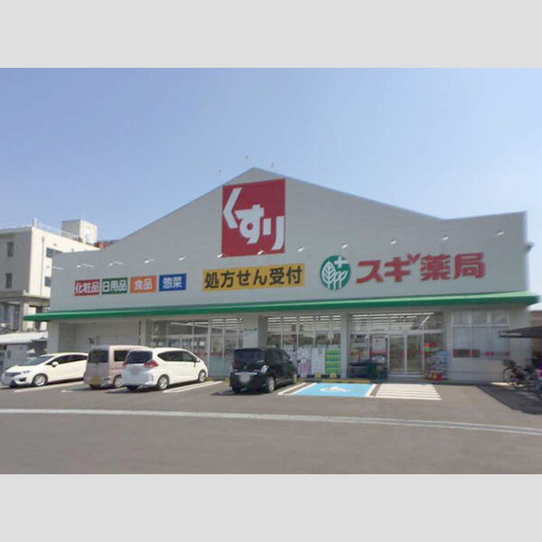 現地周辺 (スギ薬局高石駅前店)