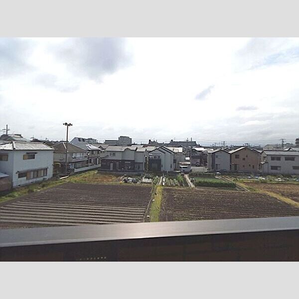 現地周辺 (眺望)