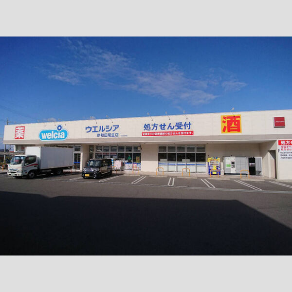 現地周辺 (ウェルシア)