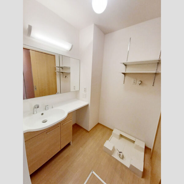 洗面所 (洗髪洗面化粧台)