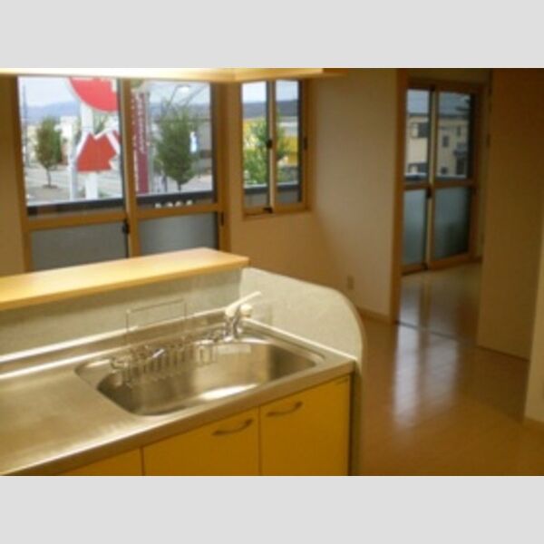 キッチン (キッチンからの眺め(写真は207号室))