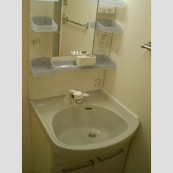洗面所 (洗髪洗面化粧台(写真は207号室))