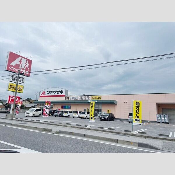 現地周辺 (クスリのアオキ)