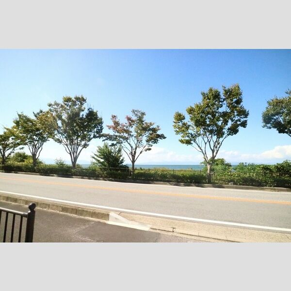 現地周辺 (物件側面道路眺望)