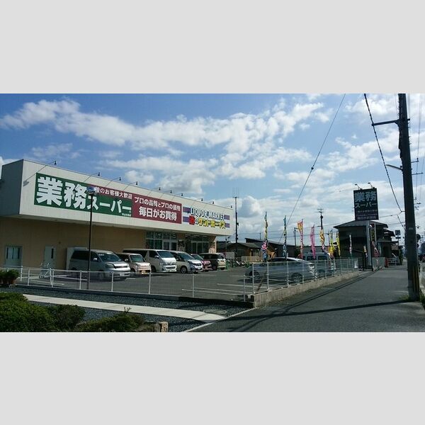 現地周辺 (業務用スーパー守山古高店(337m))