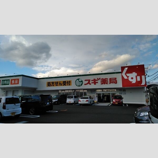 現地周辺 (スギ薬局守山東店(約700m))