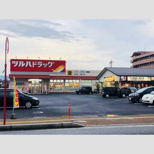 現地周辺 (ツルハドラッグ彦根店)