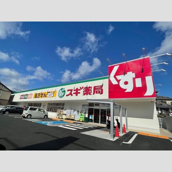 現地周辺 (スギ薬局)