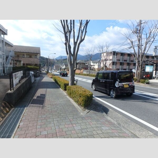 現地周辺 (前面道路)
