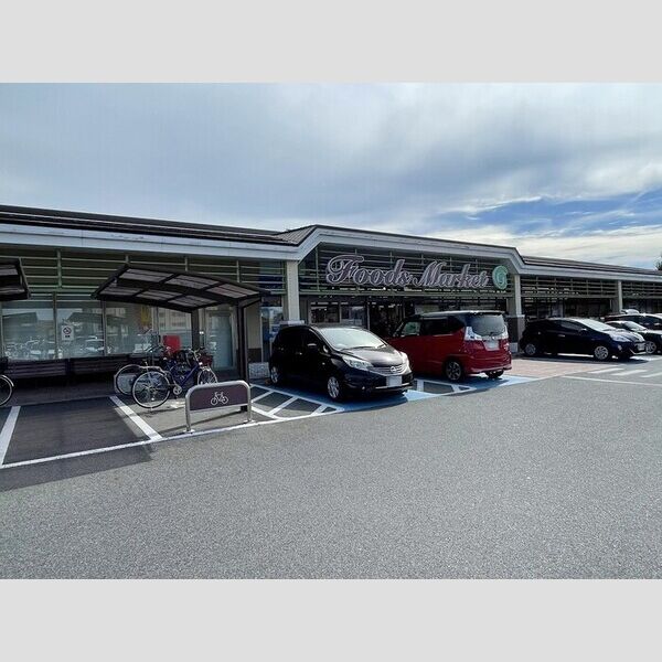 現地周辺 (コープもりやま店(526m))