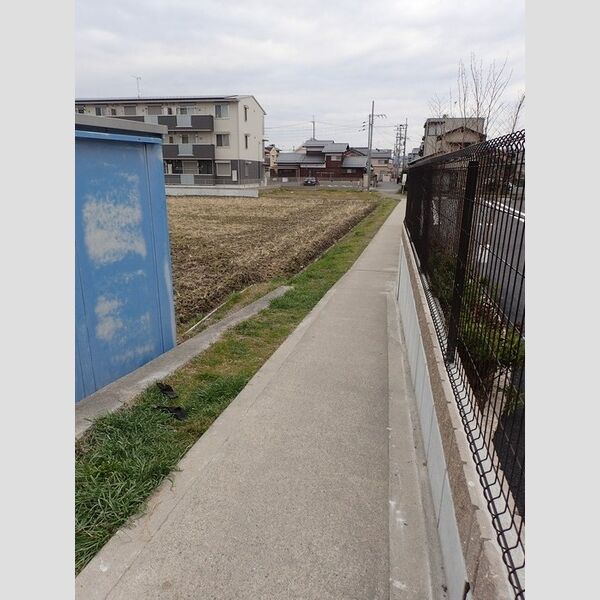 現地周辺 (周辺写真)