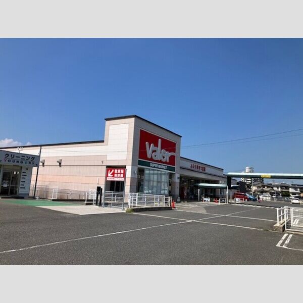 現地周辺 (バロー守山駅東店)
