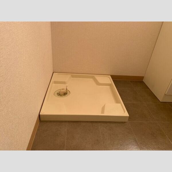 その他 (室内洗濯機置き場)