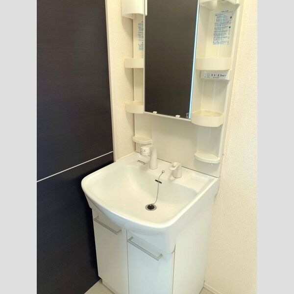 洗面所 (洗髪洗面化粧台)