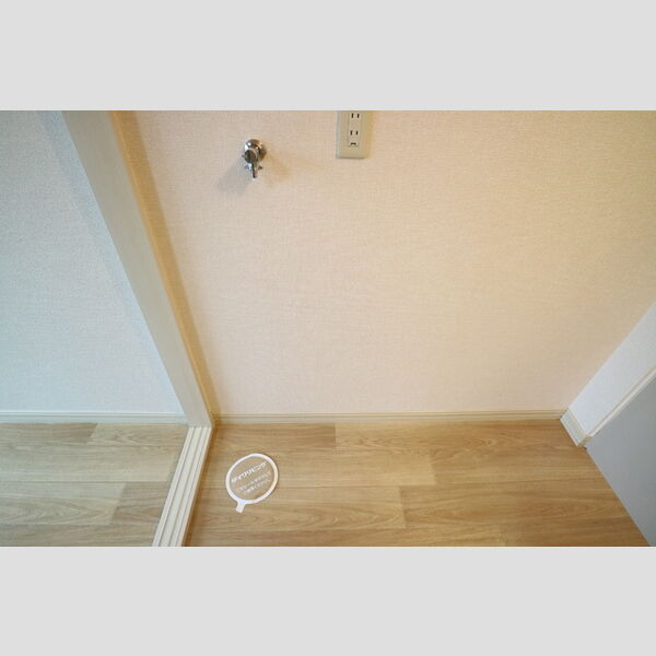 その他 (室内洗濯機置場)