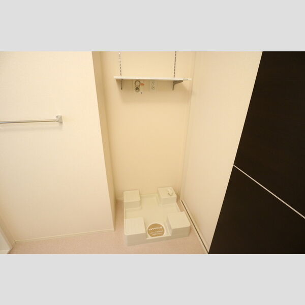 その他 (室内洗濯機置場)