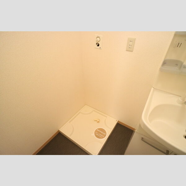 その他 (室内洗濯機置場)