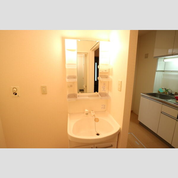 洗面所 (洗髪洗面化粧台)