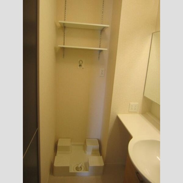 その他 (室内洗濯機置場)