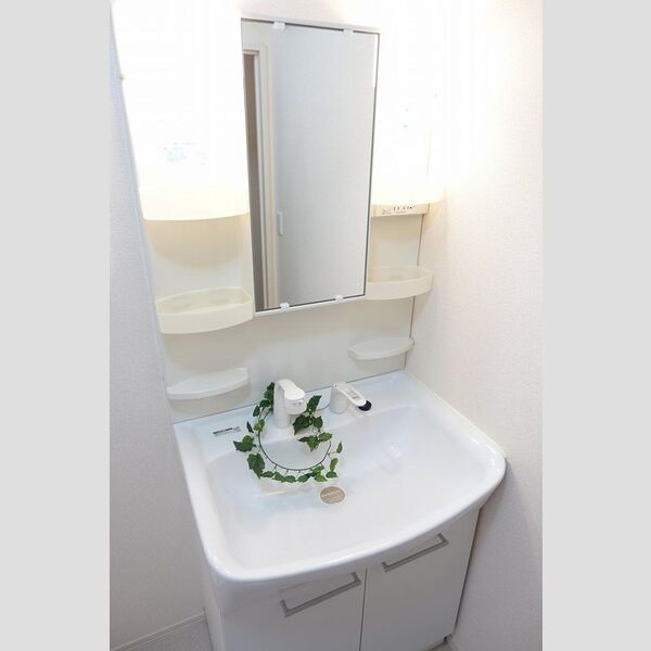 洗面所 (洗髪洗面化粧台)