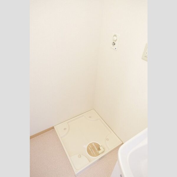 その他 (室内洗濯機置場)