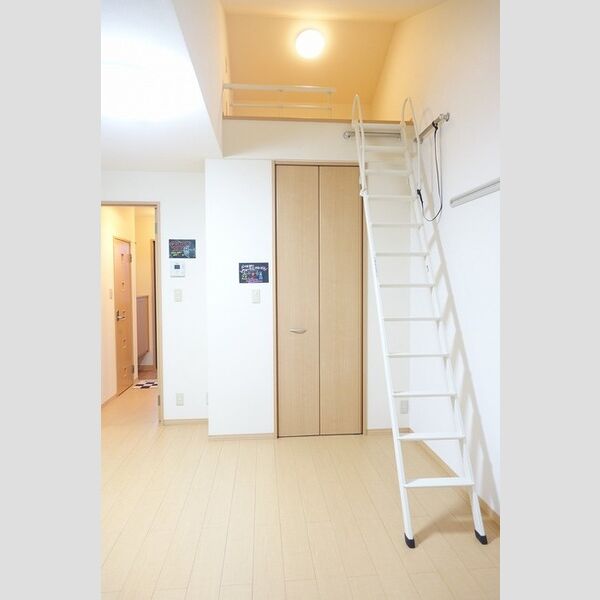 居室・リビング (小屋根裏収納)