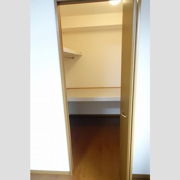 収納 (ウォークインクローゼット)