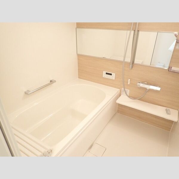 バス (一坪風呂(追い焚き給湯機能付き))