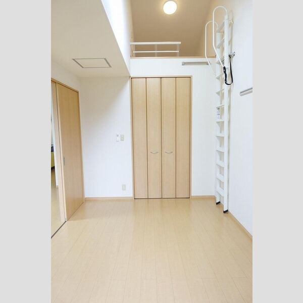 その他 (洋室・小屋裏収納)