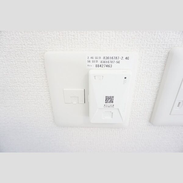 その他 (インターネット(DUNET))