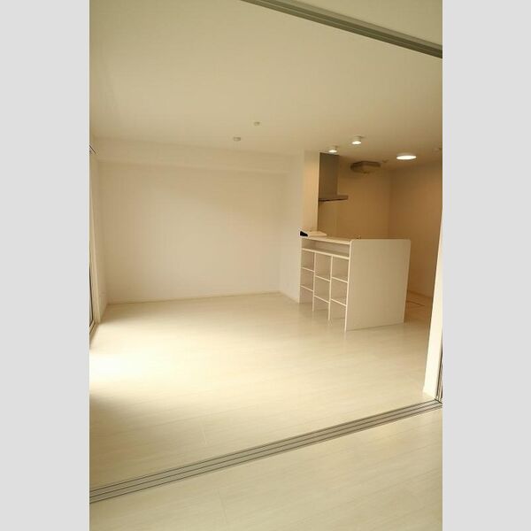 居室・リビング (LDK)