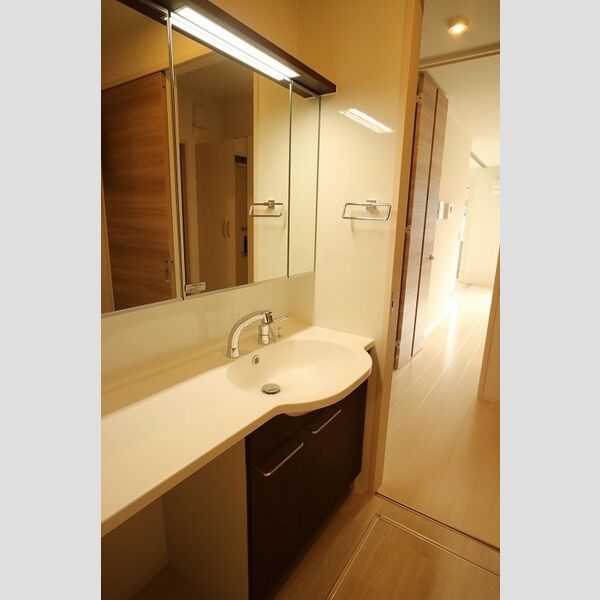 洗面所 (洗髪洗面化粧台)