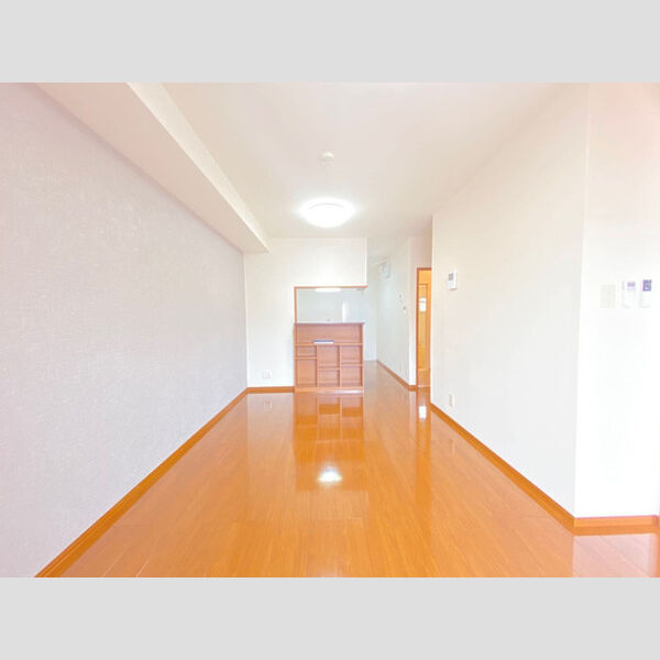 居室・リビング (LDK)