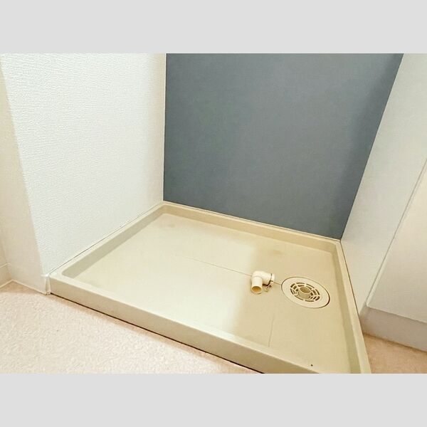 その他 (室内洗濯機置き場)