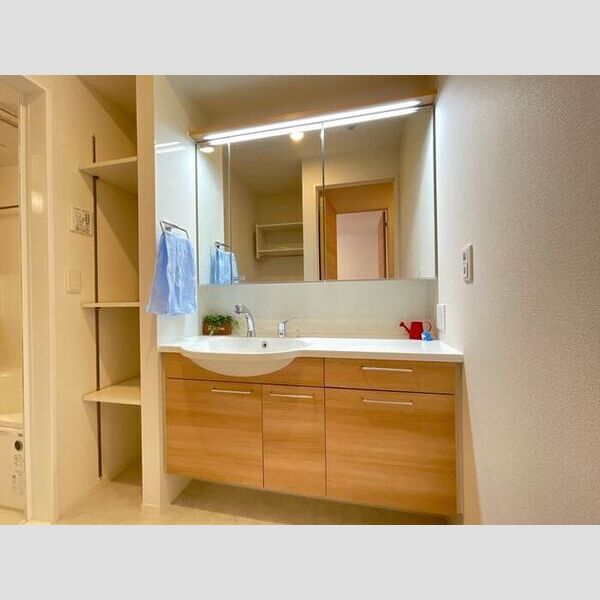 洗面所 (洗髪洗面化粧台)