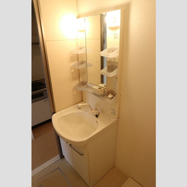 洗面所 (洗髪洗面化粧台)