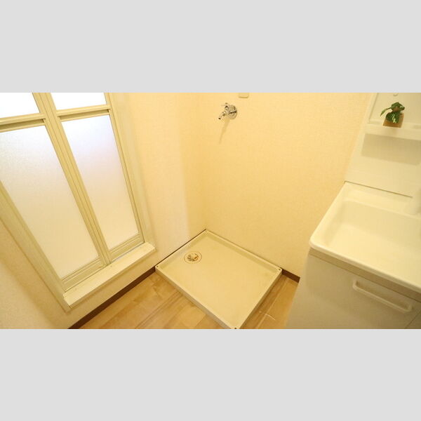 その他 (室内洗濯機置場)