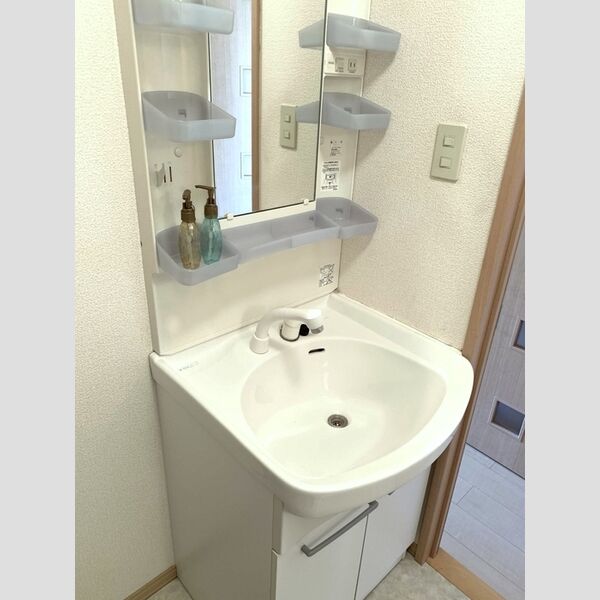 洗面所 (洗髪洗面化粧台)