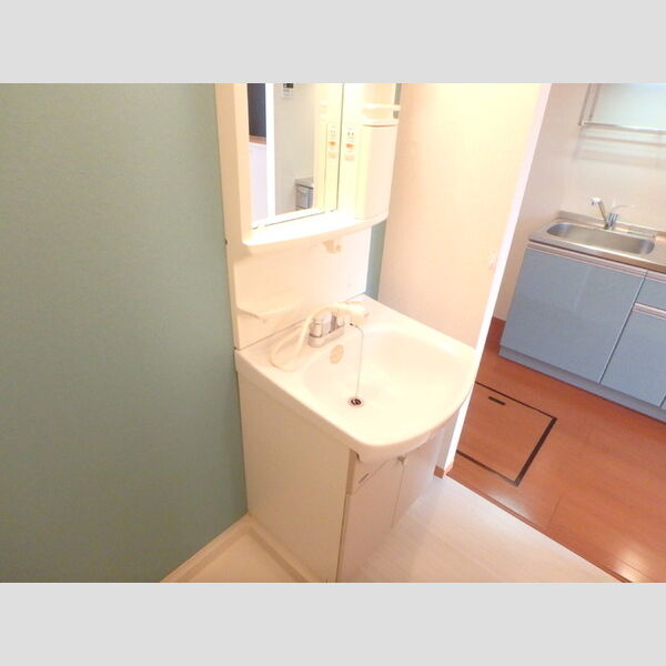 洗面所 (洗髪洗面化粧台)