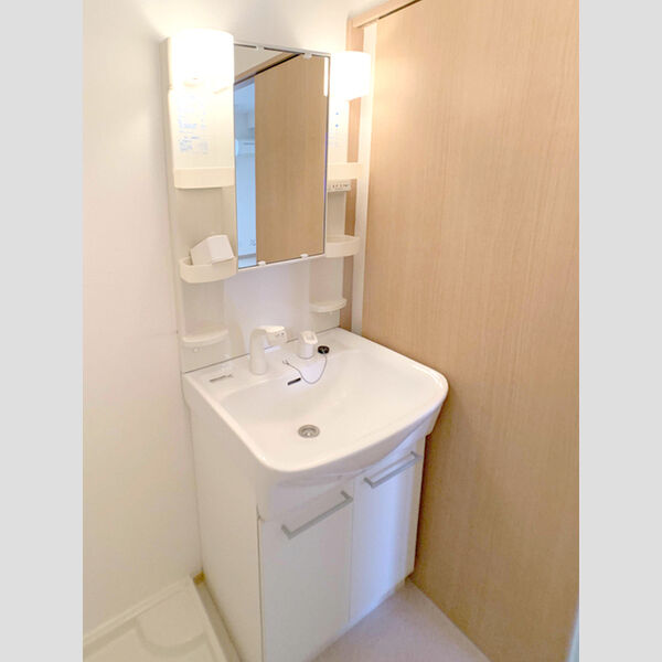 洗面所 (洗髪洗面化粧台)