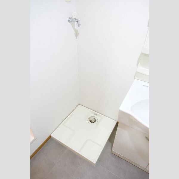 その他 (室内洗濯機置場)