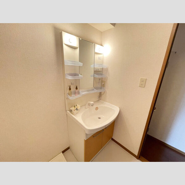 洗面所 (洗髪洗面化粧台)