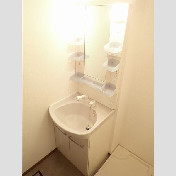 洗面所 (洗髪洗面化粧台)